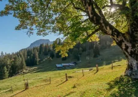 Apartamento Mountainview Fireplace & Garden Bbq