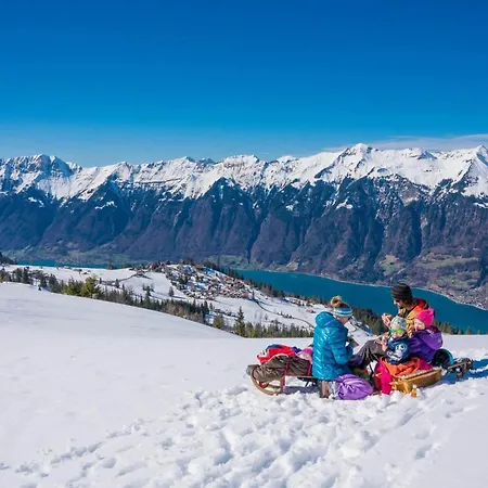 Mountainview Fireplace & Garden Bbq