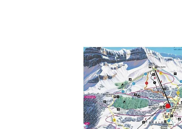 Mountainview Fireplace & Garden Bbq Axalp