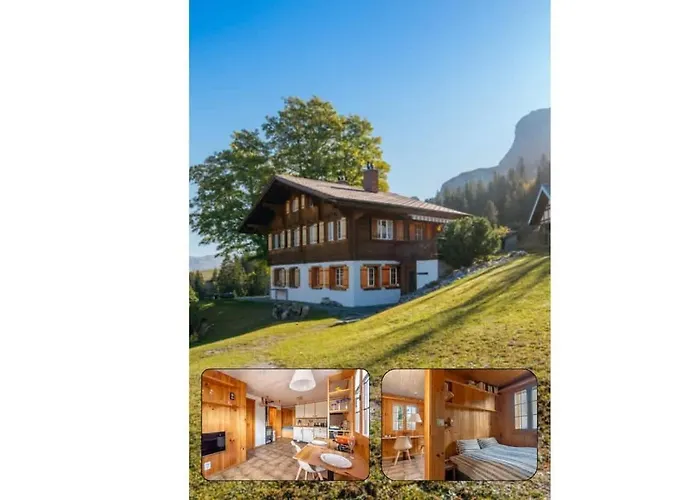 Mountainview Fireplace & Garden Bbq Appartamento *