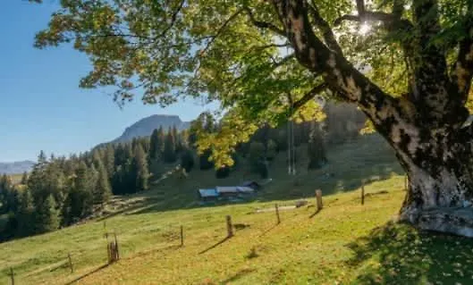 Lejlighed Mountainview Fireplace & Garden Bbq