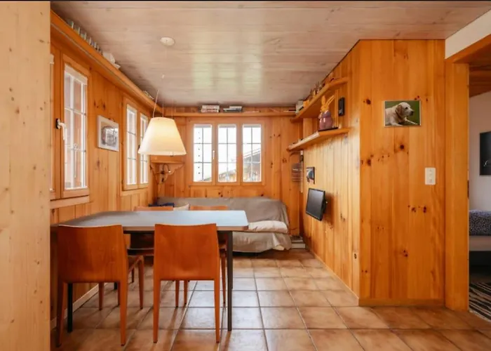 Mountainview Fireplace & Garden Bbq Axalp