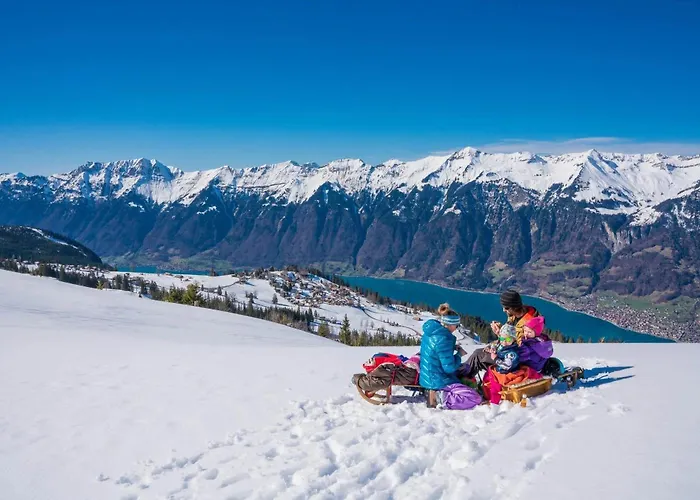 Mountainview Fireplace & Garden Bbq