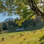 Διαμέρισμα Mountainview Fireplace & Garden Bbq